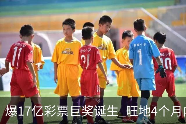 爆17亿彩票巨奖诞生 旺地4个月内两爆巨奖
